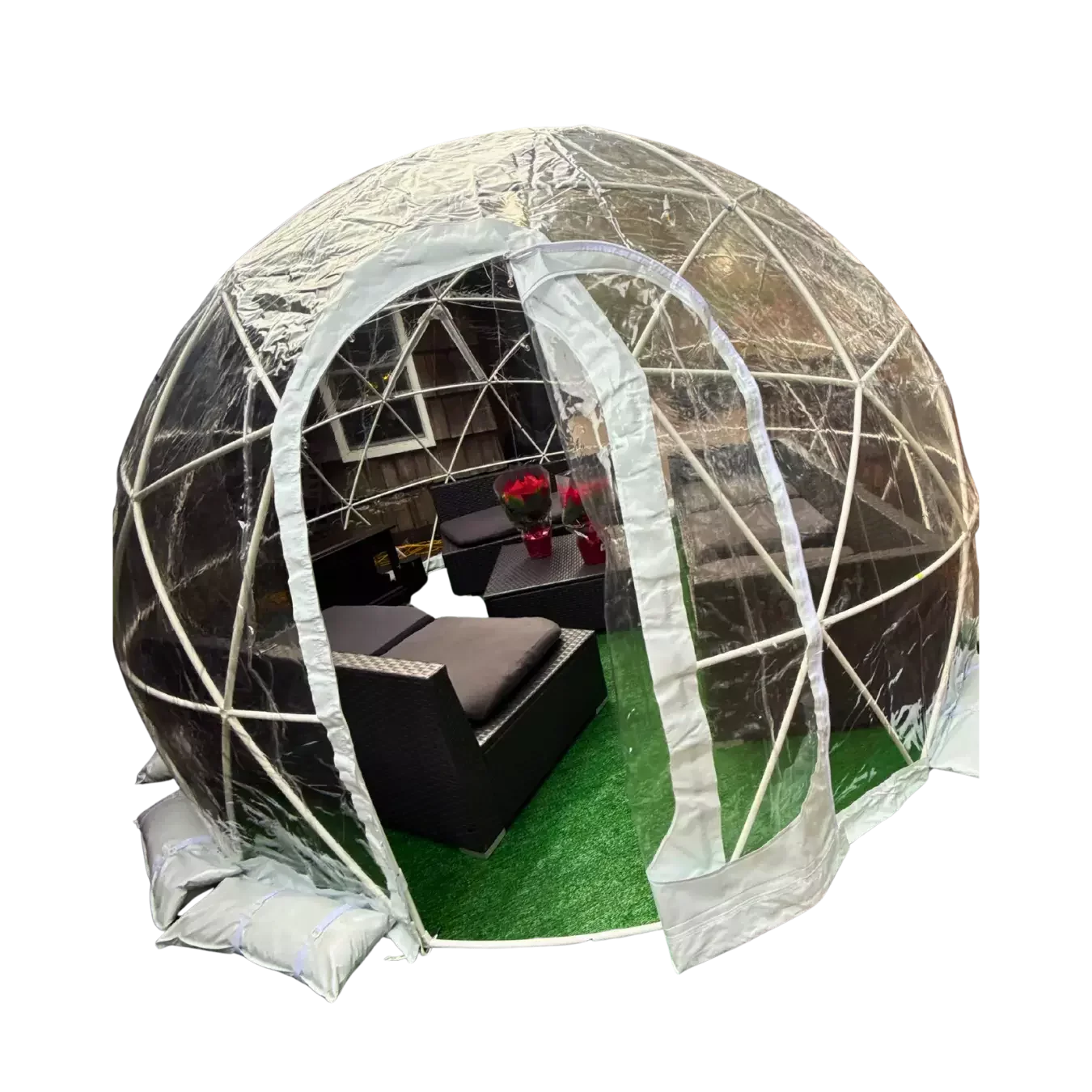 Backyard Sleepover Igloo Rental